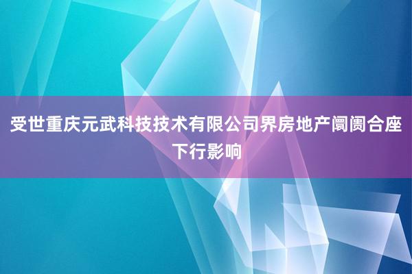 受世重庆元武科技技术有限公司界房地产阛阓合座下行影响
